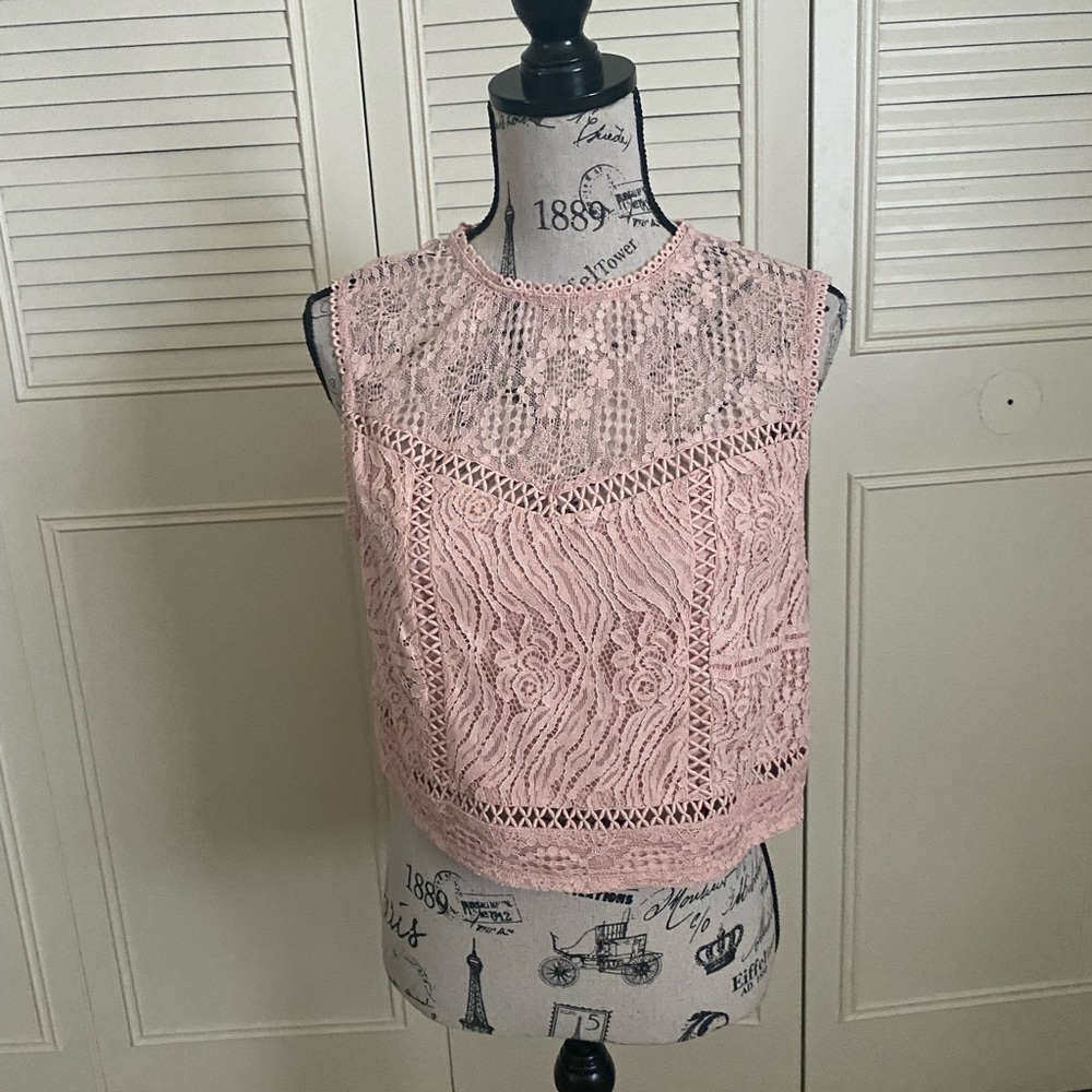 Xhilaration Pink Lace Crop Top
